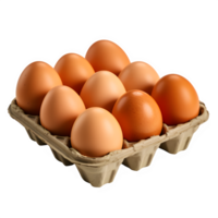 AI generated chicken eggs in paper tray isolated on transparent background ,raw egg png ,generative ai