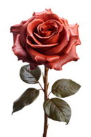 AI generated a sprig of red rose isolated on a transparent background ,generative ai png