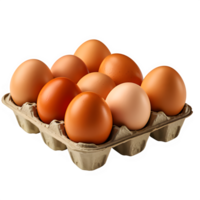 AI generated chicken eggs in paper tray isolated on transparent background ,raw egg png ,generative ai