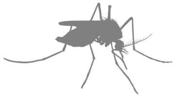 Mosquito Silhouette, can use for Art Illustration Pictogram, Website, and Graphic Design Element. Format PNG