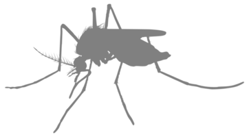 Mosquito Silhouette, can use for Art Illustration Pictogram, Website, and Graphic Design Element. Format PNG