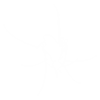 mosquito silueta, lata utilizar para Arte ilustración pictograma, sitio web, y gráfico diseño elemento. formato png