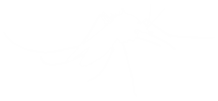mosquito silhueta, pode usar para arte ilustração pictograma, local na rede Internet, e gráfico Projeto elemento. formato png