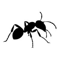hormiga vector negro icono aislado en blanco antecedentes