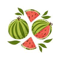 Watermelon composition, whole and slices with leaves. Set of sweet fruit. Summer vitamin vector abstract illustration for banner, poster, flyer, greeting card. Cartoon flat style.