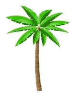 Tropical green palm. Jungle leaves. Coconut palm, monstera, fan palm, rhapis. Natural leaf, exotic branches tree. Vector illustration in flat style