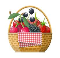 Wicker picnic basket with berries. Opened food hamper with cranberry, black currant, blackberry, blueberry, red currant, raspberry, strawberry and cherry. Vector illustration in flat style