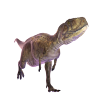 dinosaure isolé png