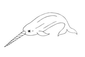 Vector hand drawn sketch doodle narwhal