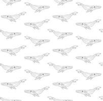 Vector seamless pattern of outline blue whale