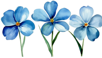 AI generated Watercolor Flax flower drawing isolated on white background. png