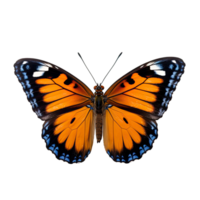 AI generated Graceful Butterfly in Side View Isolated on  Transparent Background png