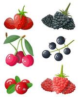 Berry icon set. Cranberry, black currant, backberry, blueberry, red currant, raspberry, strawberry and cherry.Berries with green leaves. Organic healthy food. Vector illustration flat style