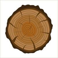 Cross section of tree stump or trunk. Wood cut. Vector illustration in flat style