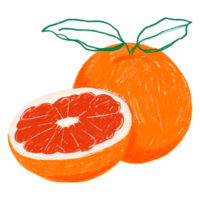 ai gegenereerd een fruit grapefruit citrus voedsel png