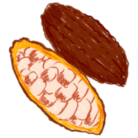 AI generated A Cocoa Bean Split Open png