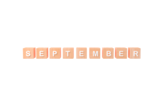 Minimal white word September wooden cubes PNG. Winter season. 3d rendering png