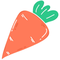 illustrazione di carota png