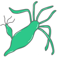 illustration of Hydra png