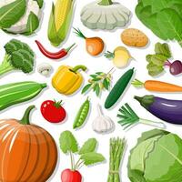 Big vegetable isolated icon set. Onion, eggplant, cabbage, pepper, pumpkin, cucumber, tomato carrot and other vegetables. Organic healthy food. Vegetarian nutrition. Vector illustration in flat style