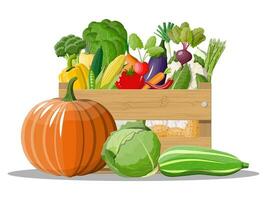 Wooden box full of vegetables. Onion, eggplant, cabbage, pepper, pumpkin, cucumber, tomato carrot and other vegetables. Organic healthy food. Vegetarian nutrition. Vector illustration in flat style