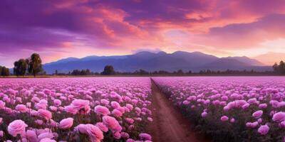 AI generated Rose field in the sunrise morning with beautiful sky photo