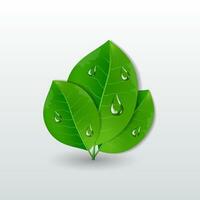 Green leaves with water drops eco concept vector illustration