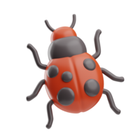 Season Time Object Ladybug 3D Illustration png