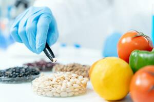 Scientist check chemical whole grains residues in laboratory. Control experts inspect the concentration of chemical residues. hazards, standard, prohibited substances, contaminate, Microbiologist photo