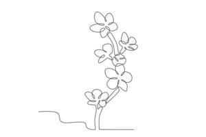 Cherry blossom branches vector