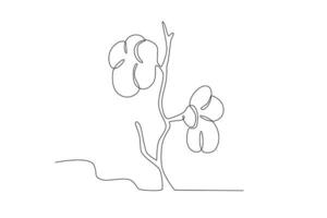 Two cherry blossoms on a branch vector