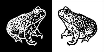 Illustration vector graphics of frog icon