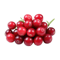 AI generated ripe cranberry fruits png