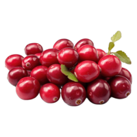 ai généré mûr canneberge des fruits png