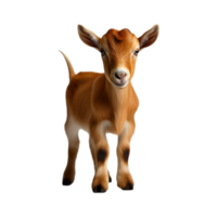 AI generated young goat isolated png