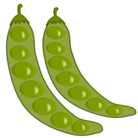illustration of green peas png