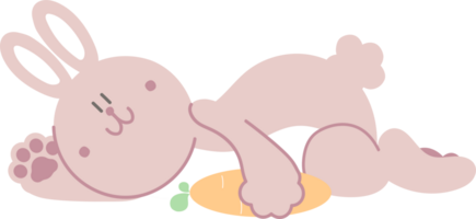 content Pâques avec lapin lapin et carotte, plat png transparent élément personnage conception