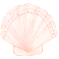 Sea shell, shell, under the sea png