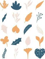 Lovely Organic Leaf Illustration Set vector