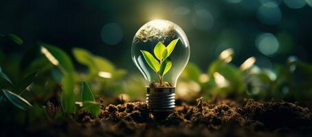 AI generated Electric lightbulb contains green plant with sunlight. photo