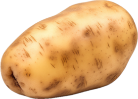 AI generated Potato food png