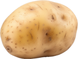 ai generato Patata cibo png