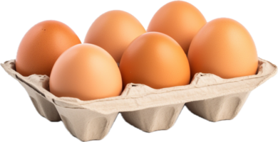 AI generated egg in carton png