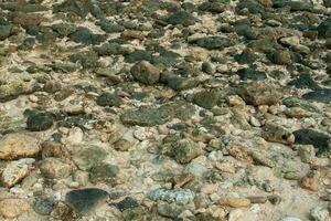 coral rocks on the coast photo