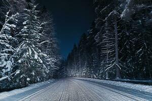 View of snowy forest road at night. photo