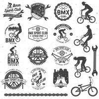 conjunto de bmx extremo deporte club insignia. vector. concepto para camisa, logo, imprimir, estampilla, tee con hombre paseo en un deporte bicicleta. Clásico tipografía diseño con bmx ciclista, bmx rueda de espigas y cadena silueta vector