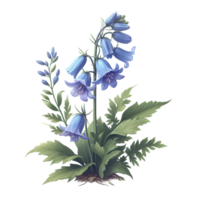 ai generato campanula fiori trasparente sfondo immagini png