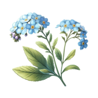 ai genererad blommor transparent bakgrund bilder png