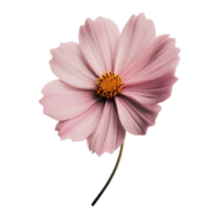 AI generated single flower PNG