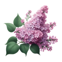 AI generated A beautiful lilac is isolated png